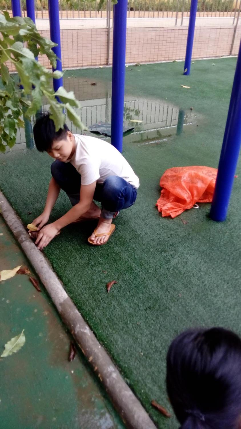 微信圖片_201809172100568.jpg