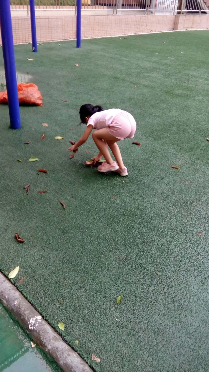 微信圖片_201809172100569.jpg